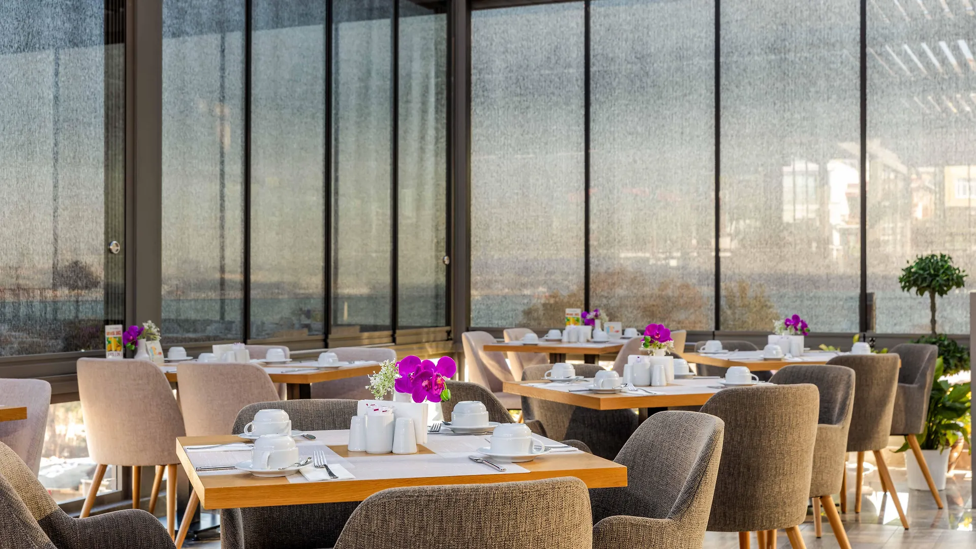 Amiral Palace Hotel Boutique Class Стамбул 4*,  Турция